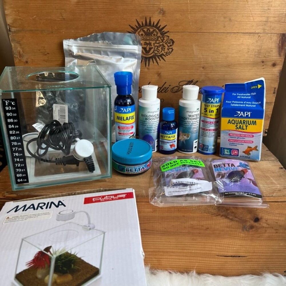Betta Fish Huge  Bundle basically new